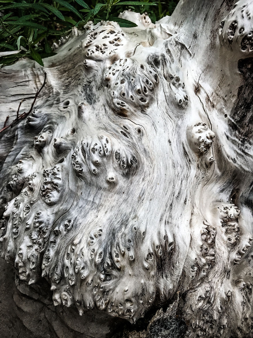 I Took A Road Trip From Oregon To California To Capture Nature&#8217;s Texture