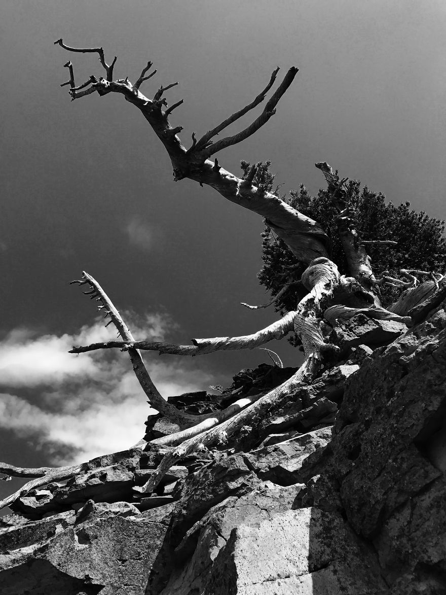 I Took A Road Trip From Oregon To California To Capture Nature&#8217;s Texture