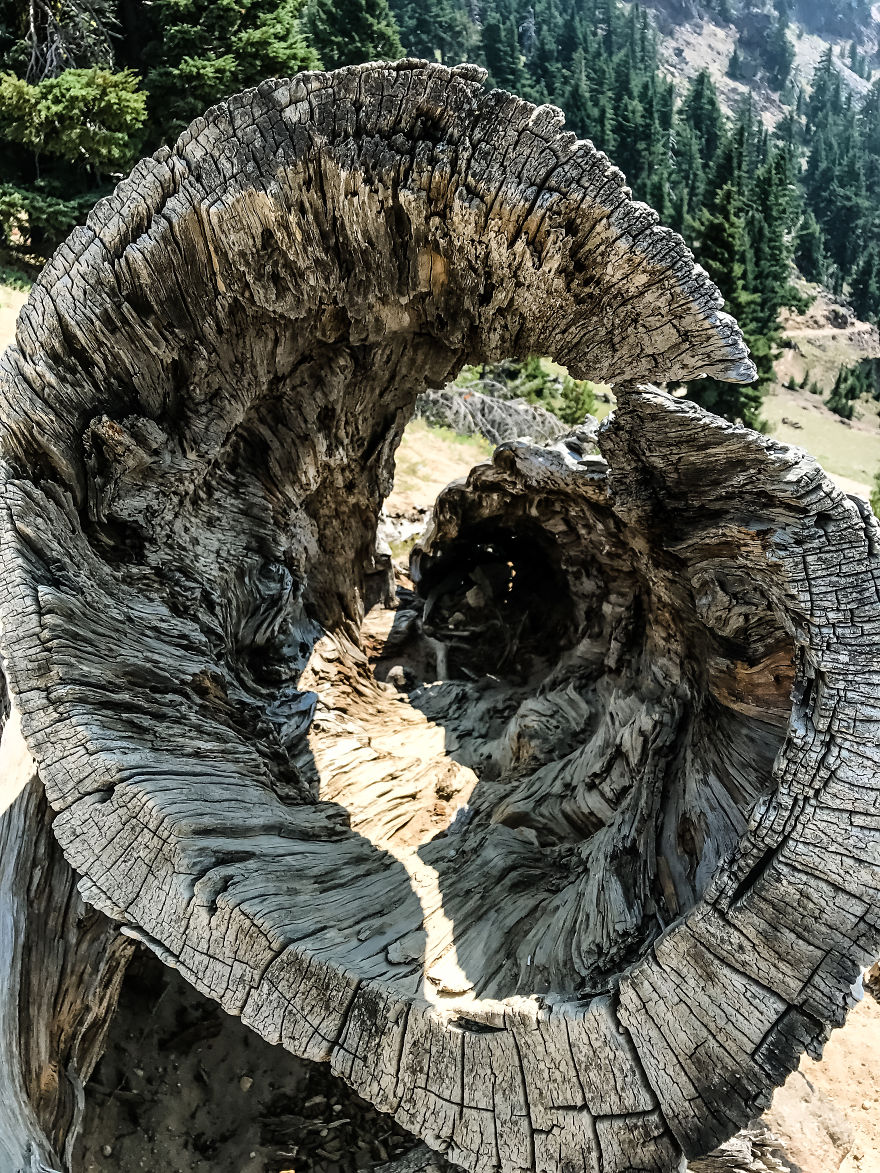 I Took A Road Trip From Oregon To California To Capture Nature&#8217;s Texture