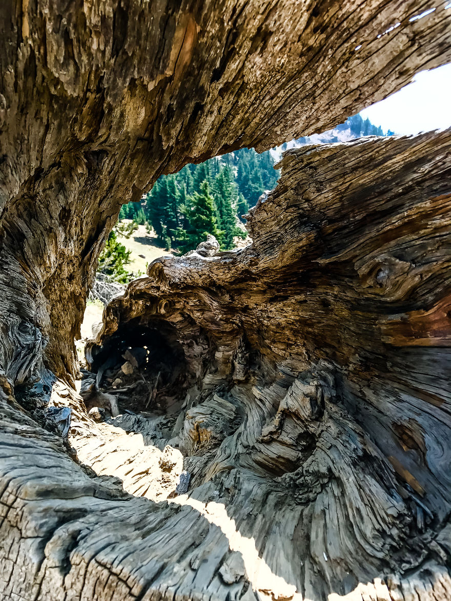 I Took A Road Trip From Oregon To California To Capture Nature&#8217;s Texture