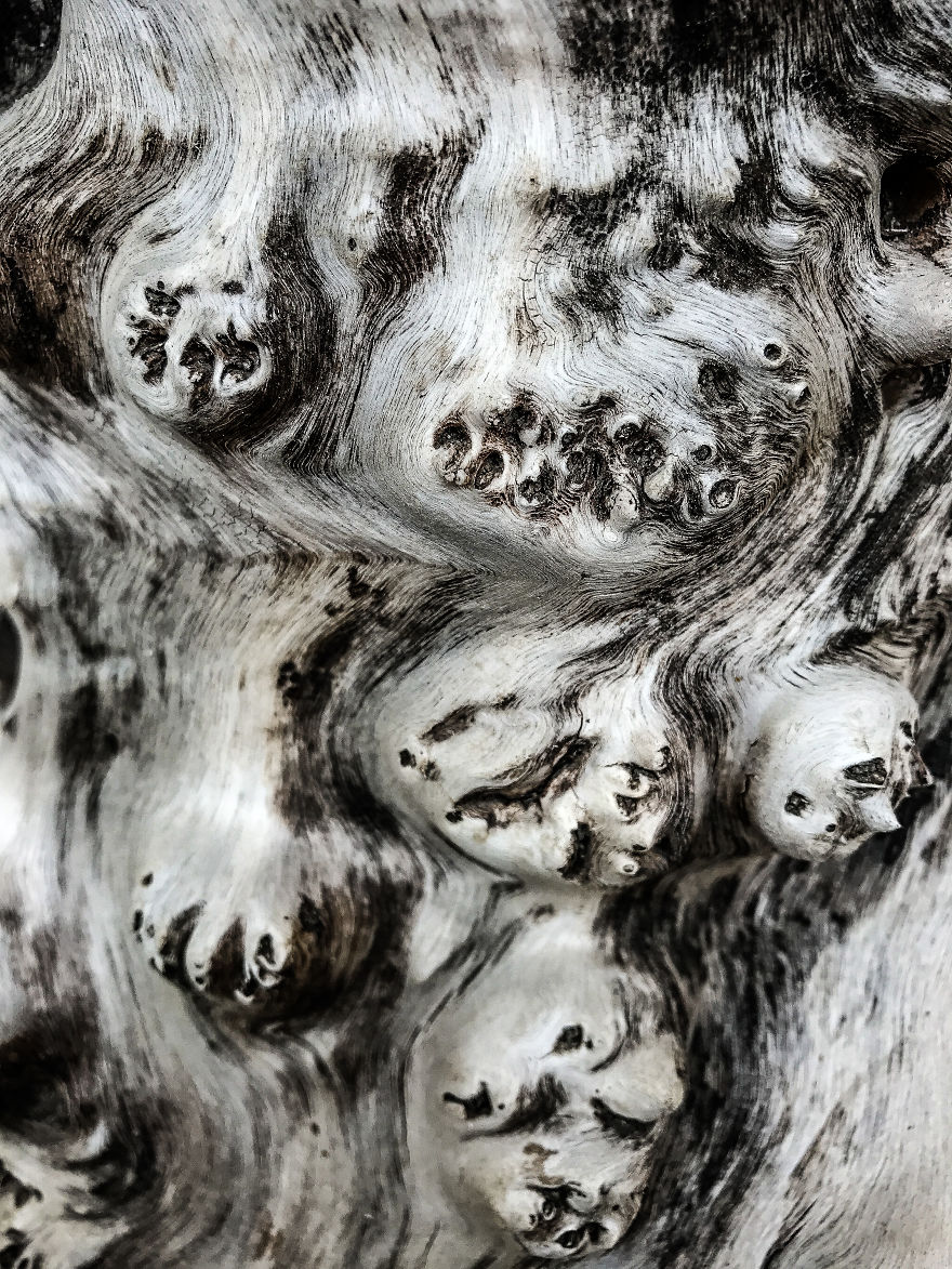 I Took A Road Trip From Oregon To California To Capture Nature&#8217;s Texture