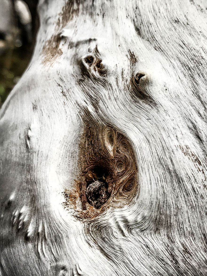I Took A Road Trip From Oregon To California To Capture Nature&#8217;s Texture
