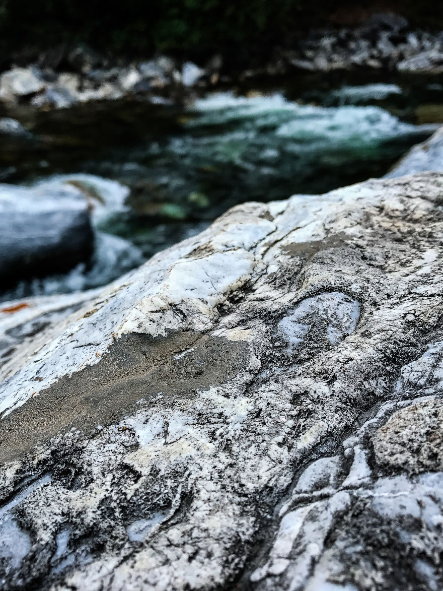 I Took A Road Trip From Oregon To California To Capture Nature&#8217;s Texture