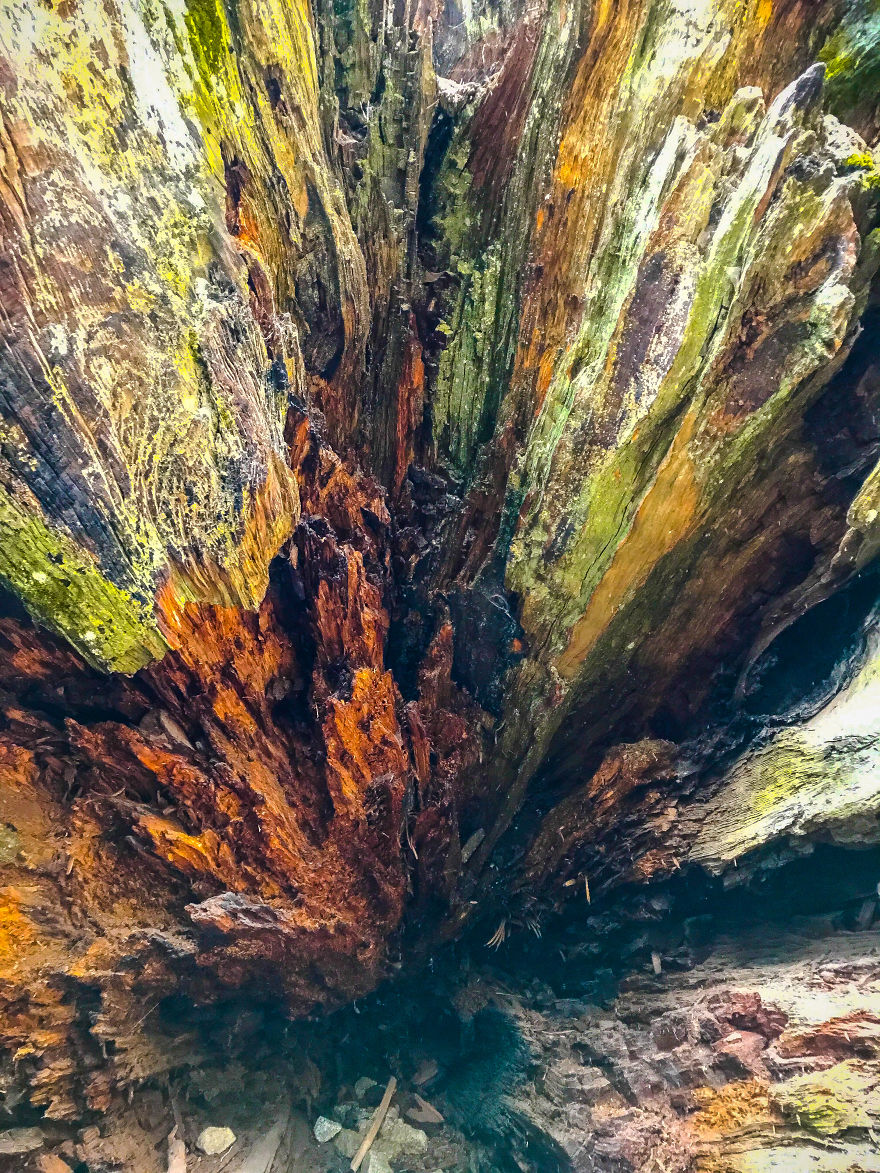 I Took A Road Trip From Oregon To California To Capture Nature&#8217;s Texture