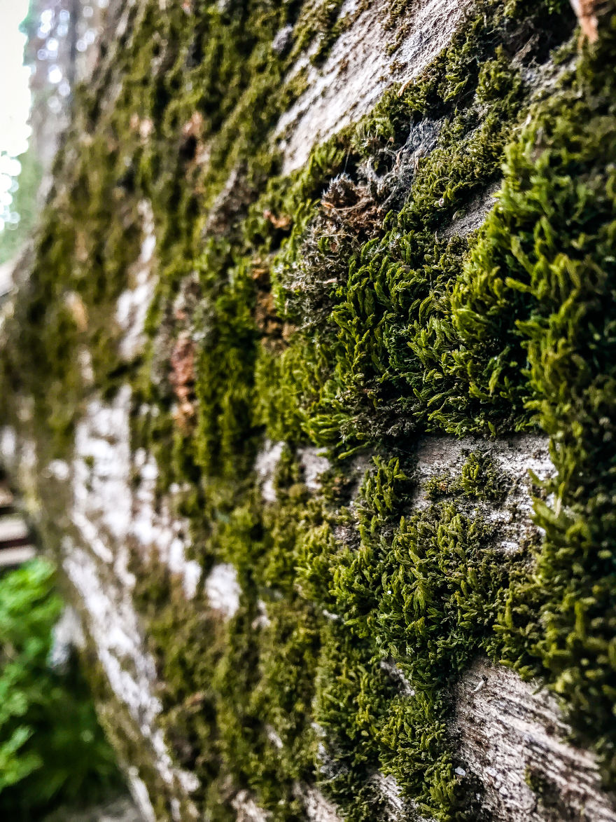 I Took A Road Trip From Oregon To California To Capture Nature&#8217;s Texture