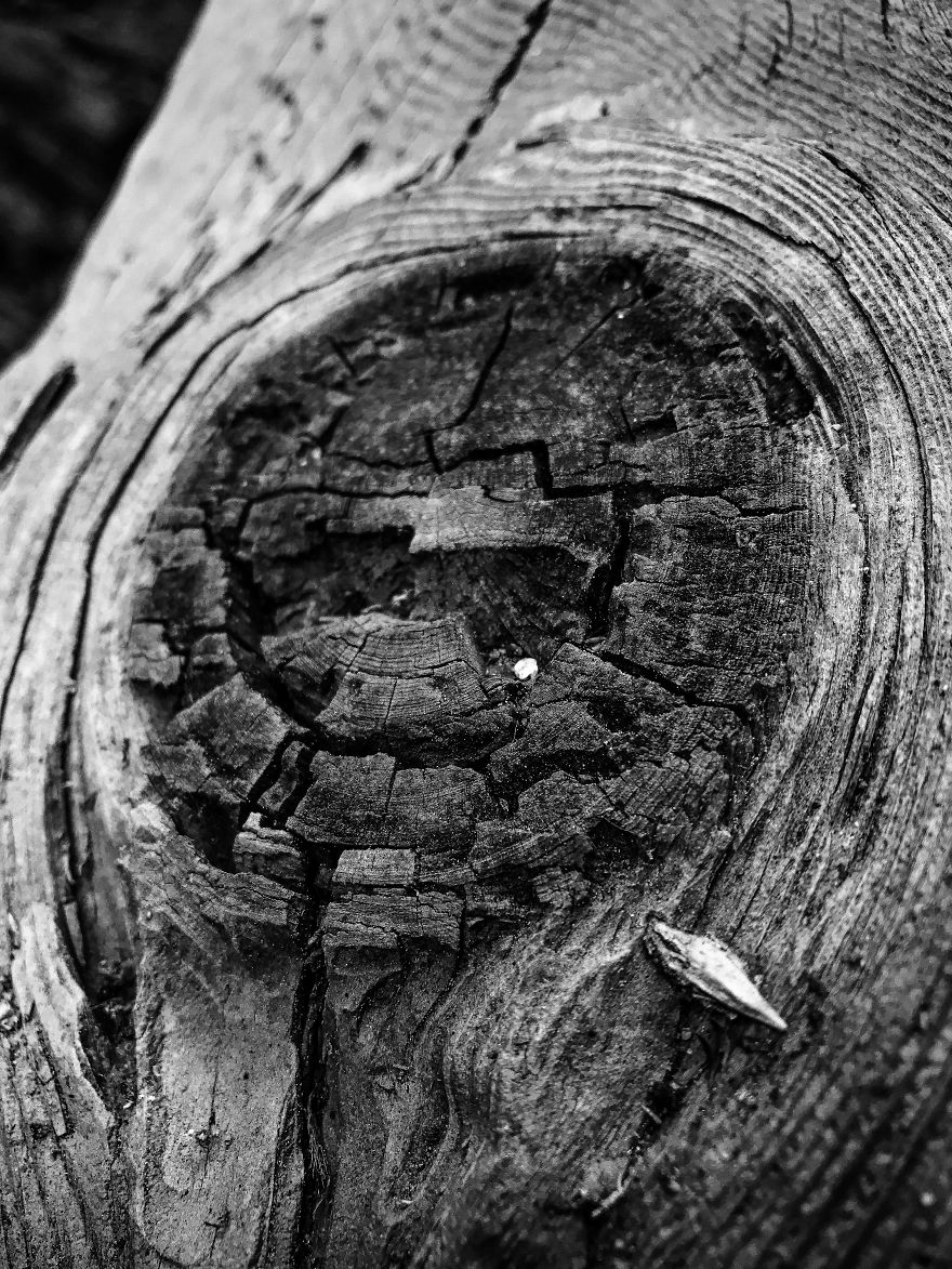 I Took A Road Trip From Oregon To California To Capture Nature&#8217;s Texture