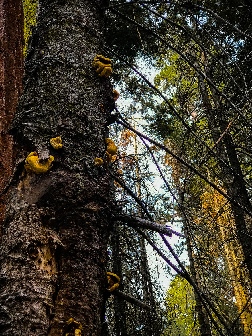 I Took A Road Trip From Oregon To California To Capture Nature&#8217;s Texture