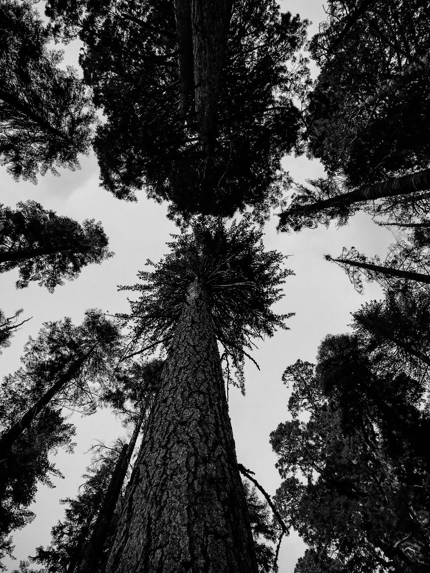 I Took A Road Trip From Oregon To California To Capture Nature&#8217;s Texture