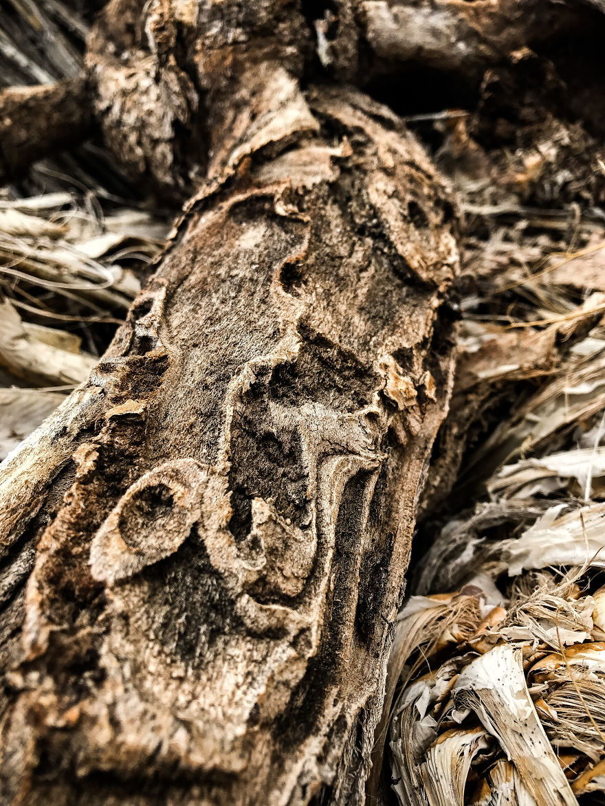 I Took A Road Trip From Oregon To California To Capture Nature&#8217;s Texture