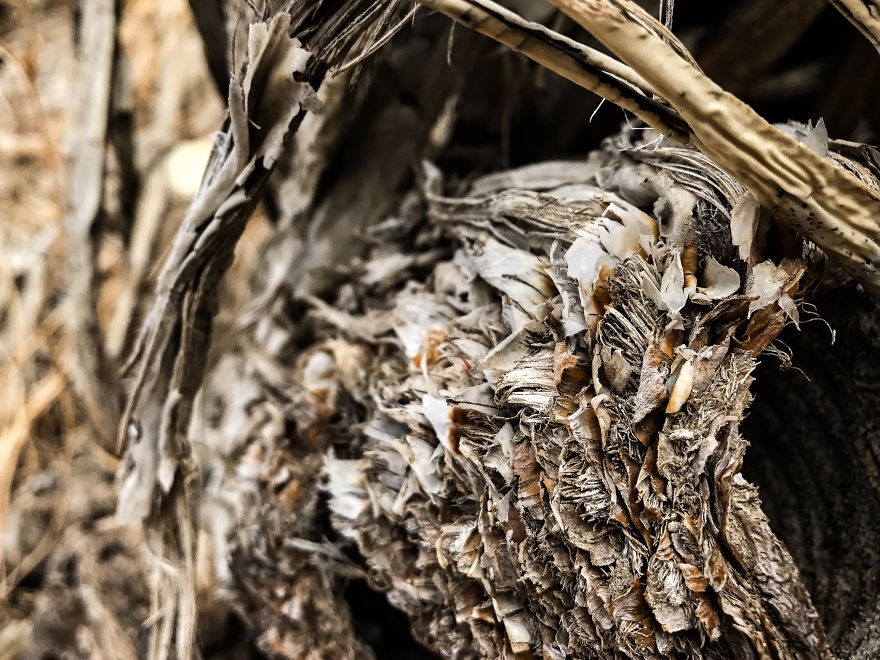 I Took A Road Trip From Oregon To California To Capture Nature&#8217;s Texture