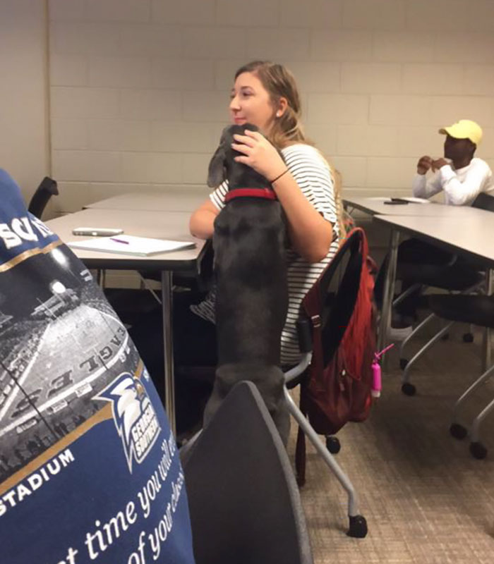 Girl Begs Professor To Let Her Bring Dog To Class To Save It From Hurricane, And His Response Wins Internet
