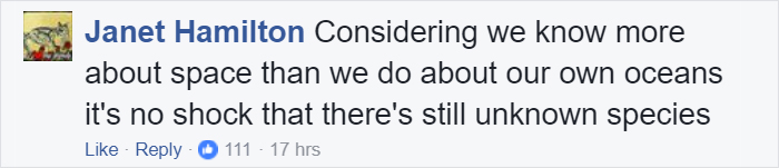 Mysterious Eyeless Creature Washes Up On Texas Beach After Hurricane Harvey, And It’s Terrifying Mysterious Eyeless Creature Washes Up On Texas Beach After Hurricane Harvey, And It’s Terrifying