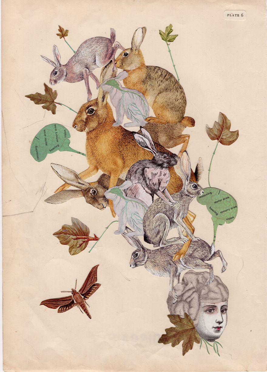 I Created 100 Paper Heads I Created 100 Paper Heads