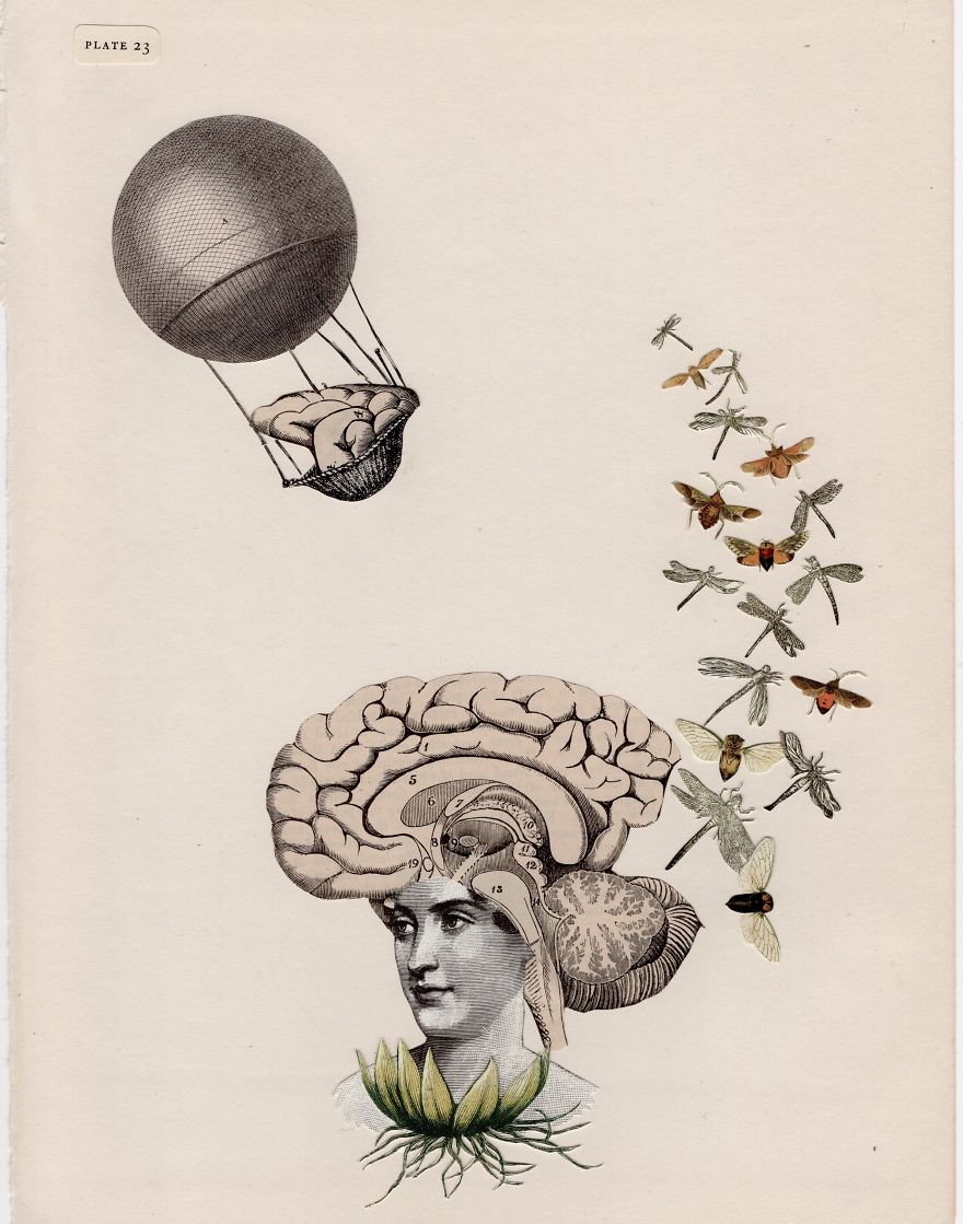 I Created 100 Paper Heads I Created 100 Paper Heads