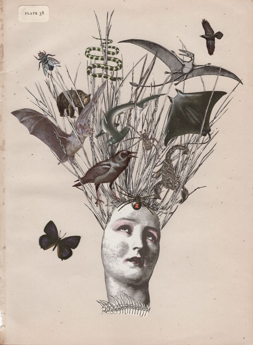 I Created 100 Paper Heads I Created 100 Paper Heads