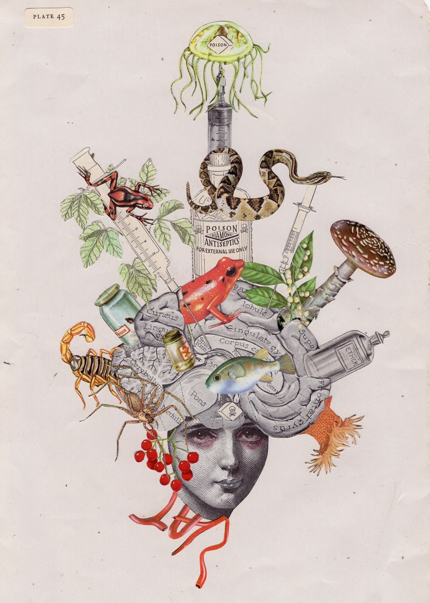 I Created 100 Paper Heads I Created 100 Paper Heads