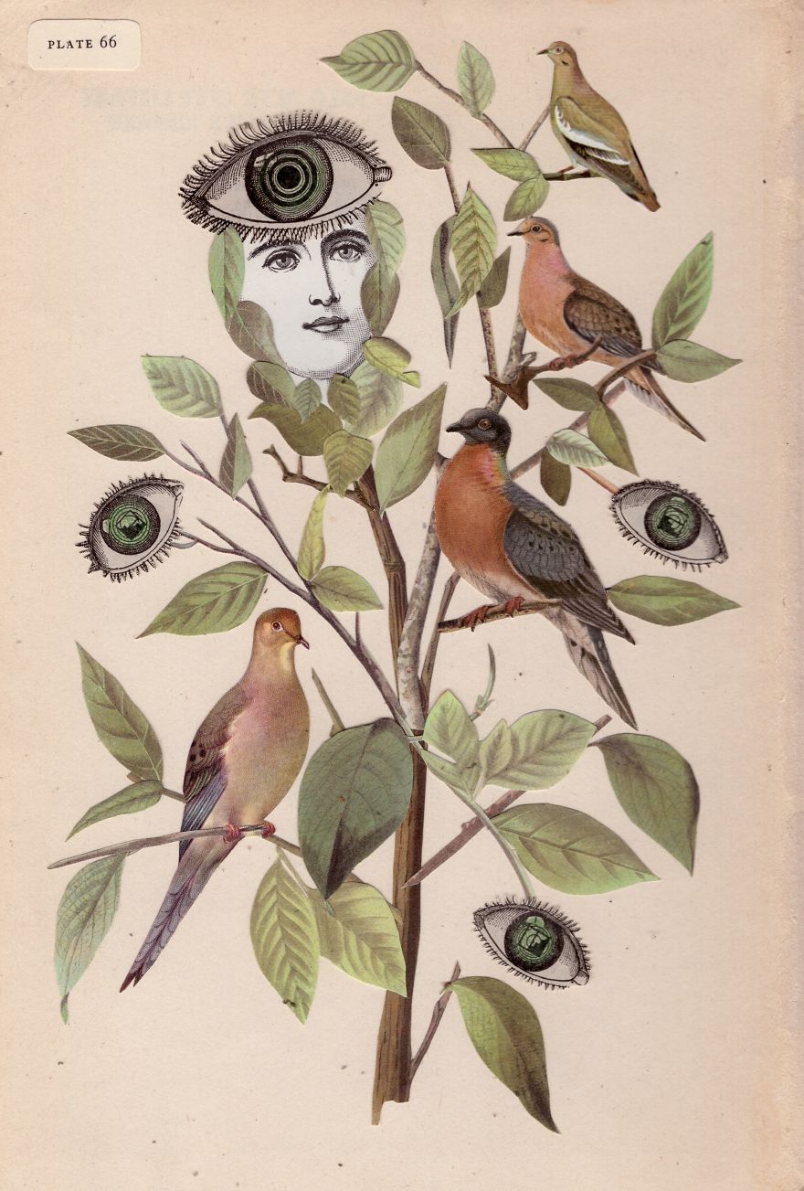 I Created 100 Paper Heads I Created 100 Paper Heads