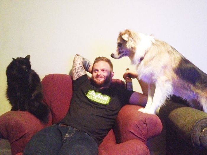 123 Times Owners Wanted Cats And Dogs To Live Together, But It Didn’t Work Out As Planned 123 Times Owners Wanted Cats And Dogs To Live Together, But It Didn’t Work Out As Planned