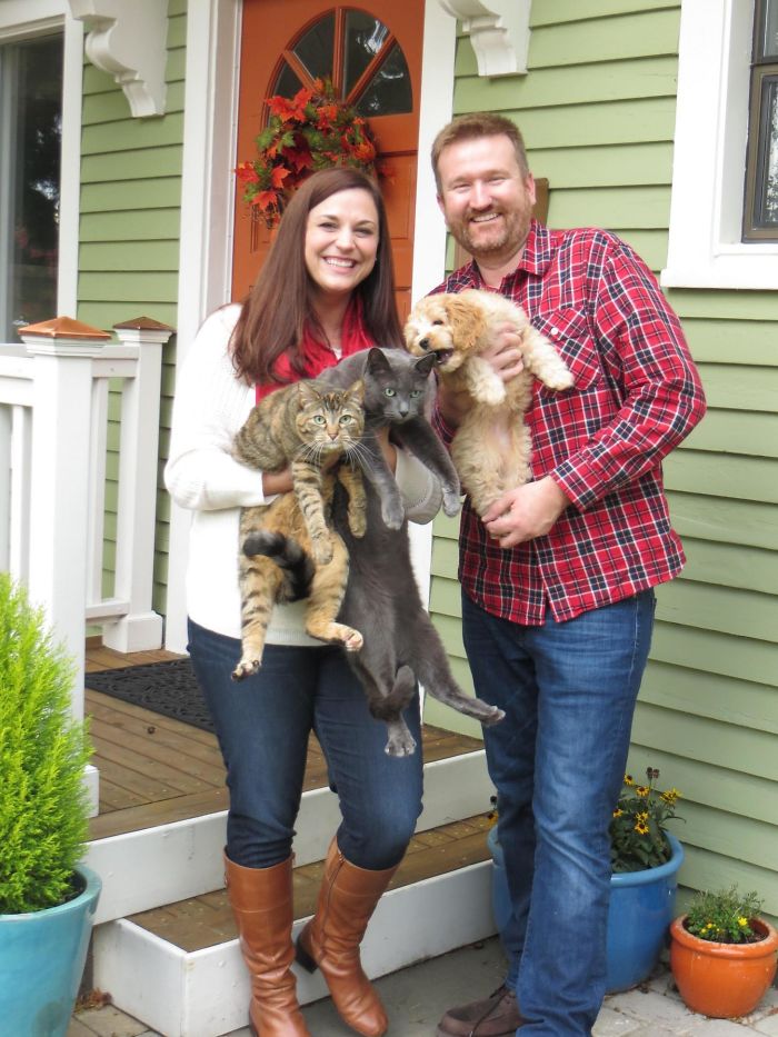 123 Times Owners Wanted Cats And Dogs To Live Together, But It Didn’t Work Out As Planned 123 Times Owners Wanted Cats And Dogs To Live Together, But It Didn’t Work Out As Planned