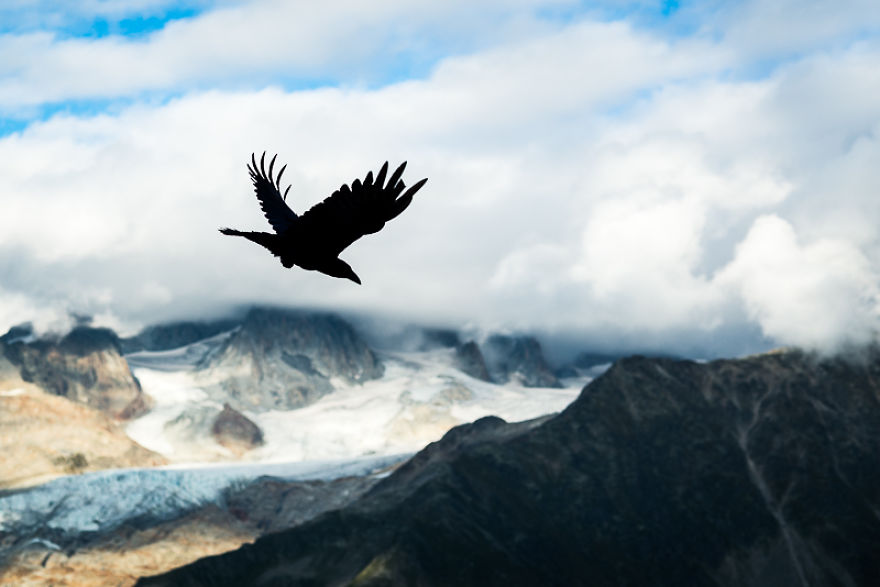 Best Day Hike In Chamonix Best Day Hike In Chamonix