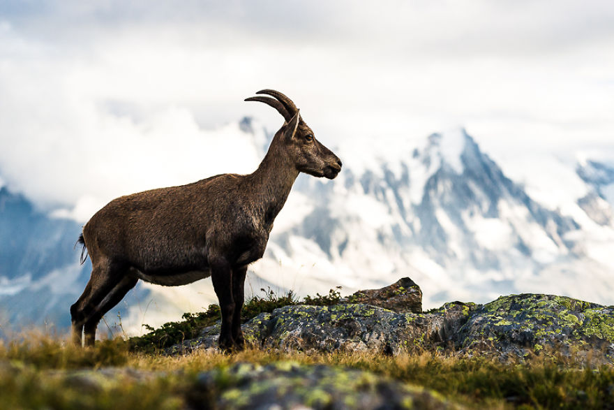Best Day Hike In Chamonix Best Day Hike In Chamonix