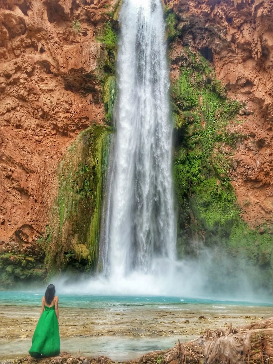 The &#8220;Gogreendress&#8221; Adventure Continues