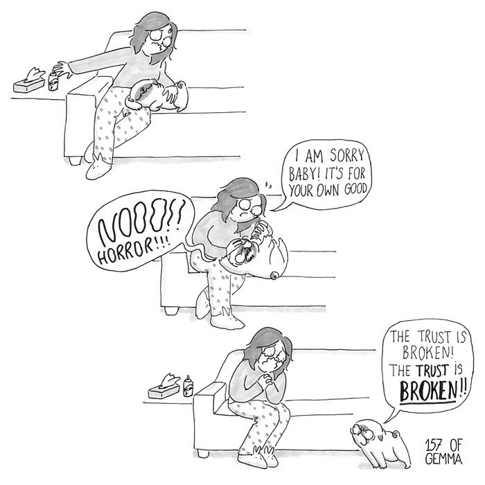 95 Adorable Comics That Hilariously Sum Up What It’s Like Living With A Dog 95 Adorable Comics That Hilariously Sum Up What It’s Like Living With A Dog