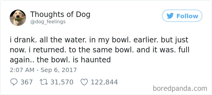 182 Of The Funniest Dog Thoughts That Dog Owners Will Understand Too Well 182 Of The Funniest Dog Thoughts That Dog Owners Will Understand Too Well