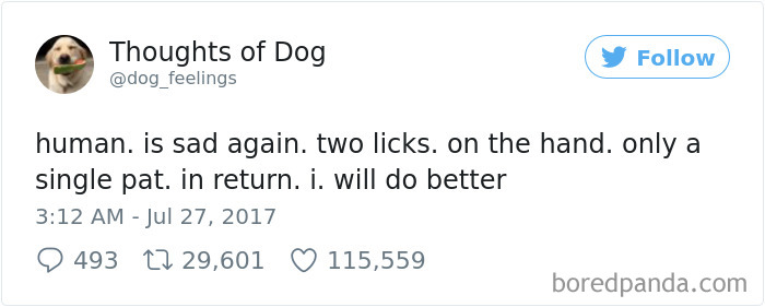 182 Of The Funniest Dog Thoughts That Dog Owners Will Understand Too Well 182 Of The Funniest Dog Thoughts That Dog Owners Will Understand Too Well