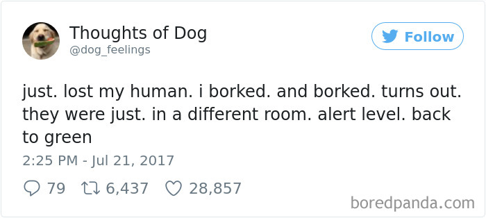 182 Of The Funniest Dog Thoughts That Dog Owners Will Understand Too Well 182 Of The Funniest Dog Thoughts That Dog Owners Will Understand Too Well