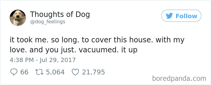 182 Of The Funniest Dog Thoughts That Dog Owners Will Understand Too Well 182 Of The Funniest Dog Thoughts That Dog Owners Will Understand Too Well