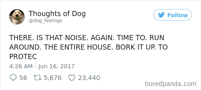 182 Of The Funniest Dog Thoughts That Dog Owners Will Understand Too Well 182 Of The Funniest Dog Thoughts That Dog Owners Will Understand Too Well