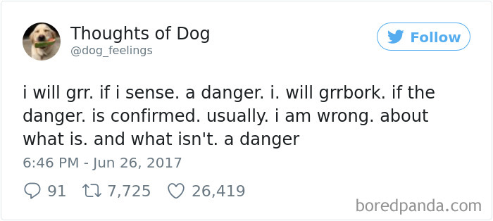 182 Of The Funniest Dog Thoughts That Dog Owners Will Understand Too Well 182 Of The Funniest Dog Thoughts That Dog Owners Will Understand Too Well
