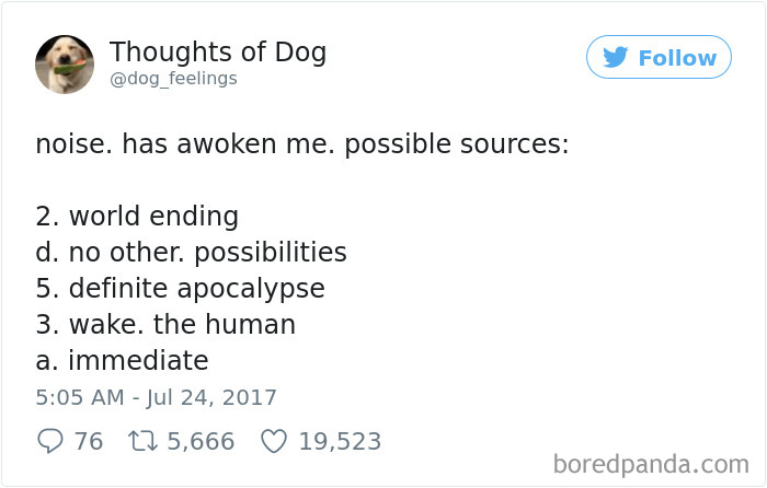182 Of The Funniest Dog Thoughts That Dog Owners Will Understand Too Well 182 Of The Funniest Dog Thoughts That Dog Owners Will Understand Too Well