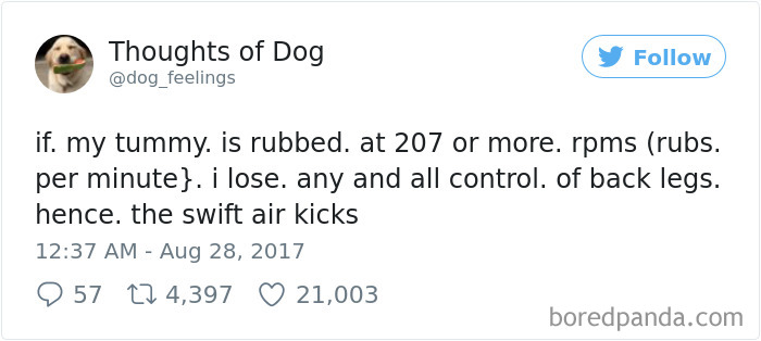 182 Of The Funniest Dog Thoughts That Dog Owners Will Understand Too Well 182 Of The Funniest Dog Thoughts That Dog Owners Will Understand Too Well