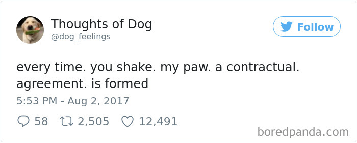 182 Of The Funniest Dog Thoughts That Dog Owners Will Understand Too Well 182 Of The Funniest Dog Thoughts That Dog Owners Will Understand Too Well