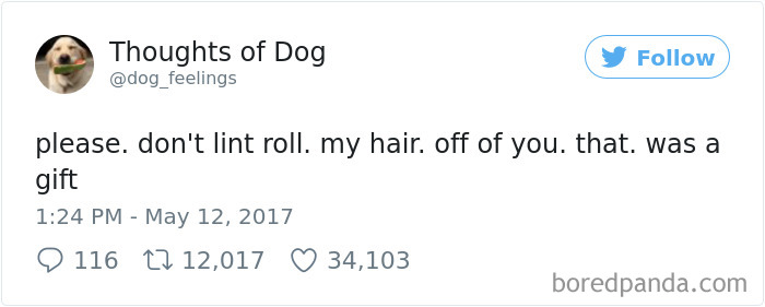 182 Of The Funniest Dog Thoughts That Dog Owners Will Understand Too Well 182 Of The Funniest Dog Thoughts That Dog Owners Will Understand Too Well
