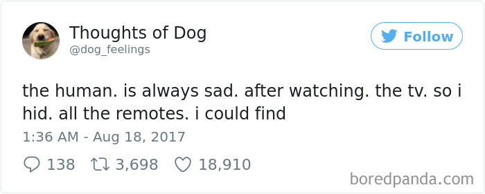 182 Of The Funniest Dog Thoughts That Dog Owners Will Understand Too Well 182 Of The Funniest Dog Thoughts That Dog Owners Will Understand Too Well