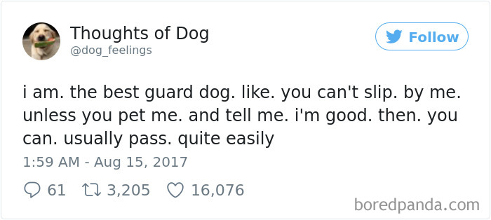 182 Of The Funniest Dog Thoughts That Dog Owners Will Understand Too Well 182 Of The Funniest Dog Thoughts That Dog Owners Will Understand Too Well