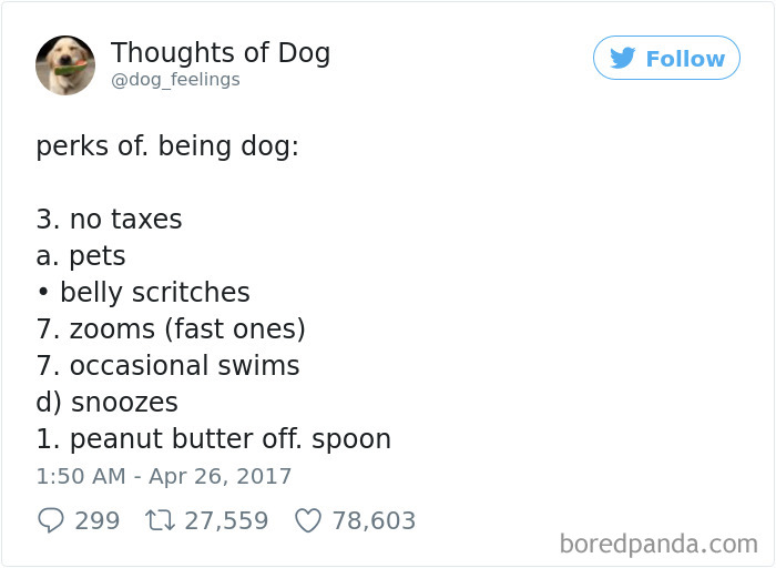 182 Of The Funniest Dog Thoughts That Dog Owners Will Understand Too Well 182 Of The Funniest Dog Thoughts That Dog Owners Will Understand Too Well