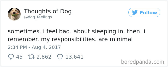 182 Of The Funniest Dog Thoughts That Dog Owners Will Understand Too Well 182 Of The Funniest Dog Thoughts That Dog Owners Will Understand Too Well