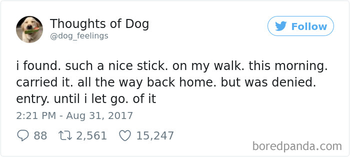 182 Of The Funniest Dog Thoughts That Dog Owners Will Understand Too Well 182 Of The Funniest Dog Thoughts That Dog Owners Will Understand Too Well