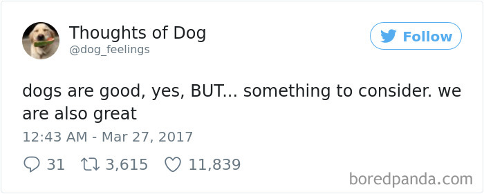 182 Of The Funniest Dog Thoughts That Dog Owners Will Understand Too Well 182 Of The Funniest Dog Thoughts That Dog Owners Will Understand Too Well