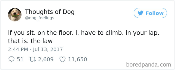 182 Of The Funniest Dog Thoughts That Dog Owners Will Understand Too Well 182 Of The Funniest Dog Thoughts That Dog Owners Will Understand Too Well