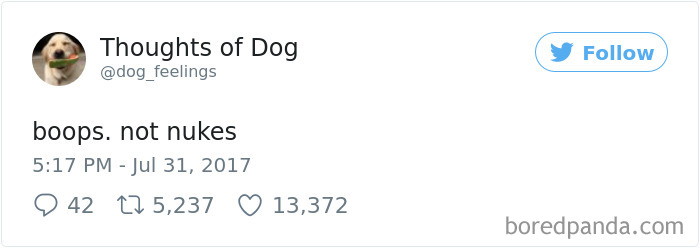 182 Of The Funniest Dog Thoughts That Dog Owners Will Understand Too Well 182 Of The Funniest Dog Thoughts That Dog Owners Will Understand Too Well