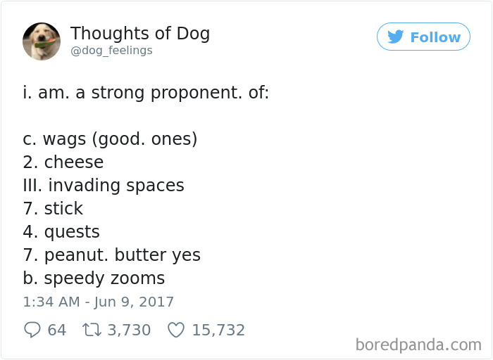 182 Of The Funniest Dog Thoughts That Dog Owners Will Understand Too Well 182 Of The Funniest Dog Thoughts That Dog Owners Will Understand Too Well
