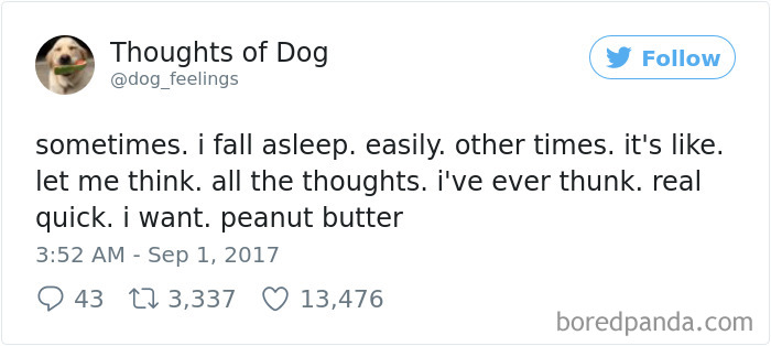 182 Of The Funniest Dog Thoughts That Dog Owners Will Understand Too Well 182 Of The Funniest Dog Thoughts That Dog Owners Will Understand Too Well