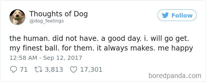 182 Of The Funniest Dog Thoughts That Dog Owners Will Understand Too Well 182 Of The Funniest Dog Thoughts That Dog Owners Will Understand Too Well