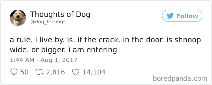 182 Of The Funniest Dog Thoughts That Dog Owners Will Understand Too Well 182 Of The Funniest Dog Thoughts That Dog Owners Will Understand Too Well