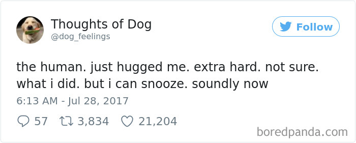 182 Of The Funniest Dog Thoughts That Dog Owners Will Understand Too Well 182 Of The Funniest Dog Thoughts That Dog Owners Will Understand Too Well